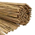 Clotûre en bambou  300x180 cm