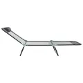 Loungeur de soleil pliant avec appui-tête Gris Textilène