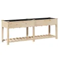 Jardinière  avec étagère 203x53x76 cm en bois massif de sapin