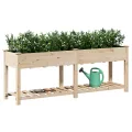 Jardinière  avec étagère 203x53x76 cm en bois massif de sapin