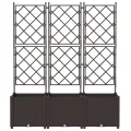 Planteur de jardin avec treillis 3 pcs Marron 120x40x143 cm