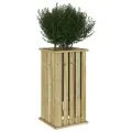 Jardinière avec Doublure 33x33x65 cm Bois Imprégné Pin