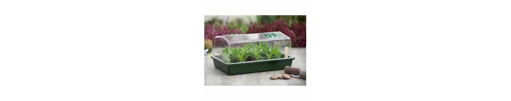 Germination Trays