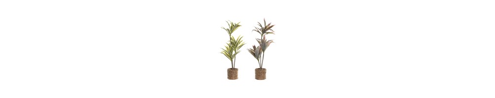 Artificial Plants