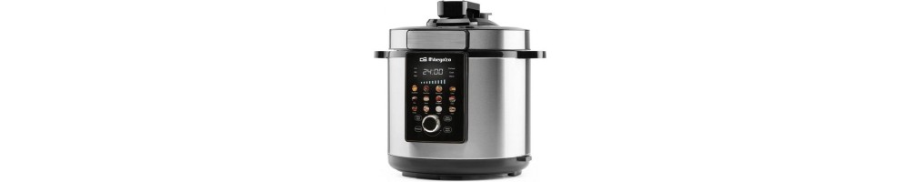 Cuiseurs vapeurs électriques