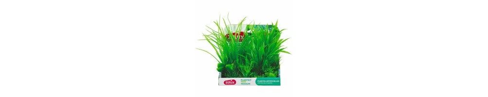 Aquarium plants