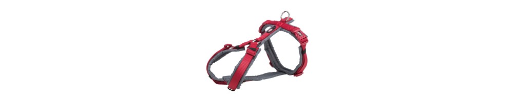 Harnesses