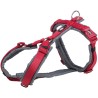 Harnesses