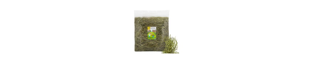 Straw and grass