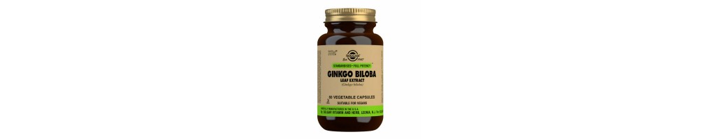 Ginkgo biloba